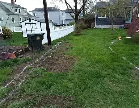 Before and After